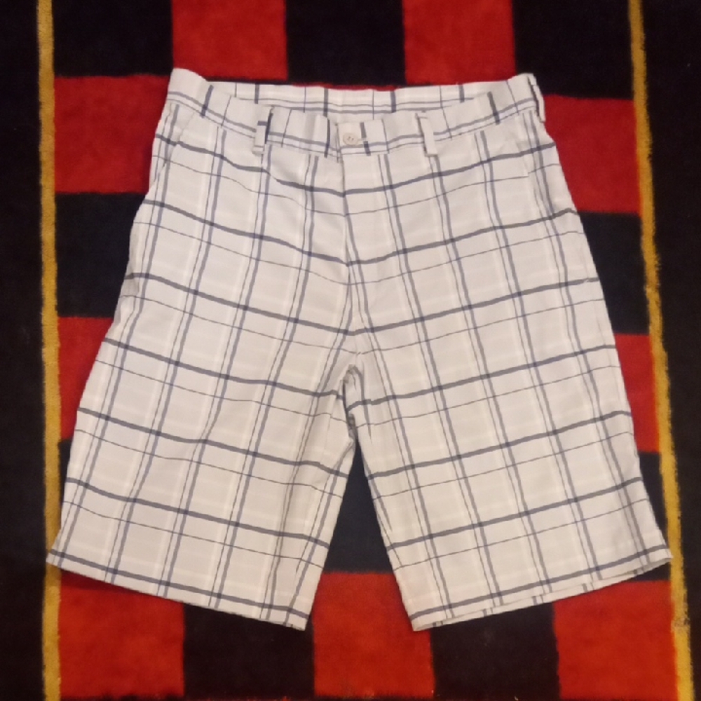 Nike Golf Shorts (32 Waist)